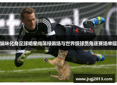 猫咪化身足球明星闯荡绿茵场与世界级球员角逐赛场荣耀